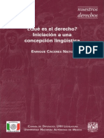 Caceres Nieto, Enrique - ¿Que Es El Derecho - Iniciacion a Una Concepcion Lingüística