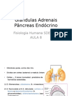Aula 8 Fisiologia - Adrenais e Pâncreas Endócrino