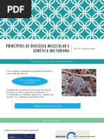 Aula 6 - Princípios de biologia molecular e genética bacteriana.pdf