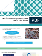 Aula 6 - Princípios de Biologia Molecular e Genética Bacteriana PDF