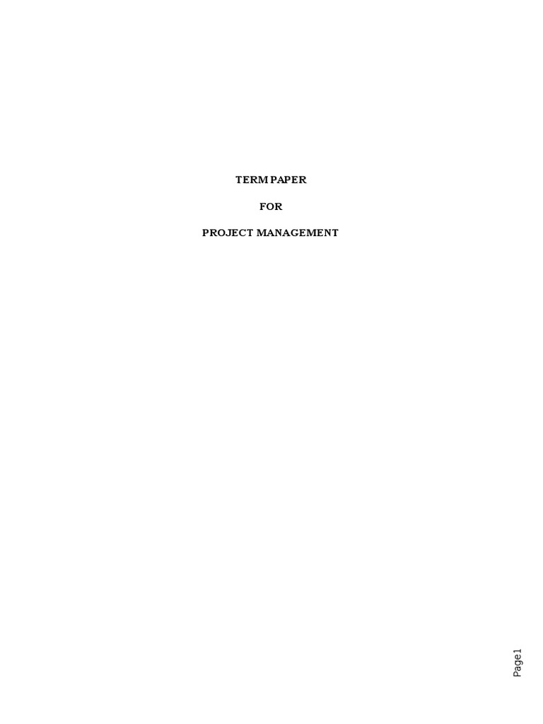 term paper on project management and financing