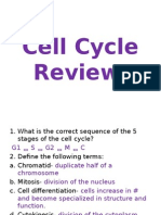 cell cycle review