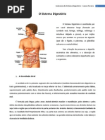 Anatomia