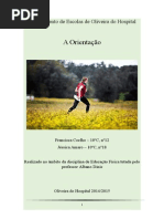 trabalho_ef_orientacao.docx