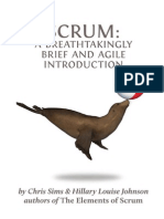 SCRUM aSCRUM A Breathtakingly Brief and Agile Introduction