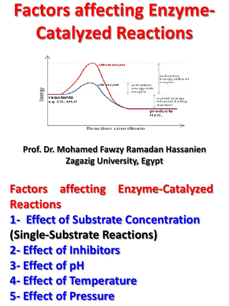 Key Factors Influencing EnzymeCatalyzed Reactions An InDepth Review