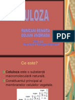 Celuloza