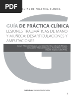 Guía de práctica clínica de las lesiones traumáticas de la mano y muñeca. Desarticulaciones y amputaciones de muñeca y mano
