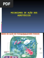 Mecanismos de Ação Dos Agrotóxicos