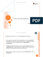 Copia seguridad.pdf