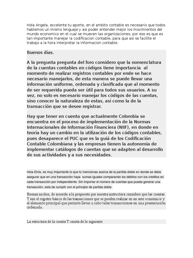 Cuentas Contables | PDF | Contabilidad | Hoja de balance