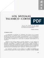 Los Sistemas Tálamo Corticales