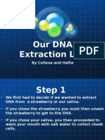 Our Dna Extraction Lab