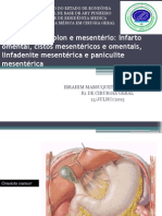 Paniculite Mesentérica: Sintomas e Diagnóstico | PDF | Inflamação | Necrose