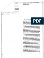 Follari_Cap5_Proceso de Objetivación y Constitución Social de La Mirada