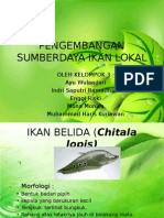 Pengembangan Sumberdaya Ikan Lokal