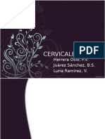 Cervical Es
