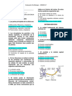 Examen Final 8°