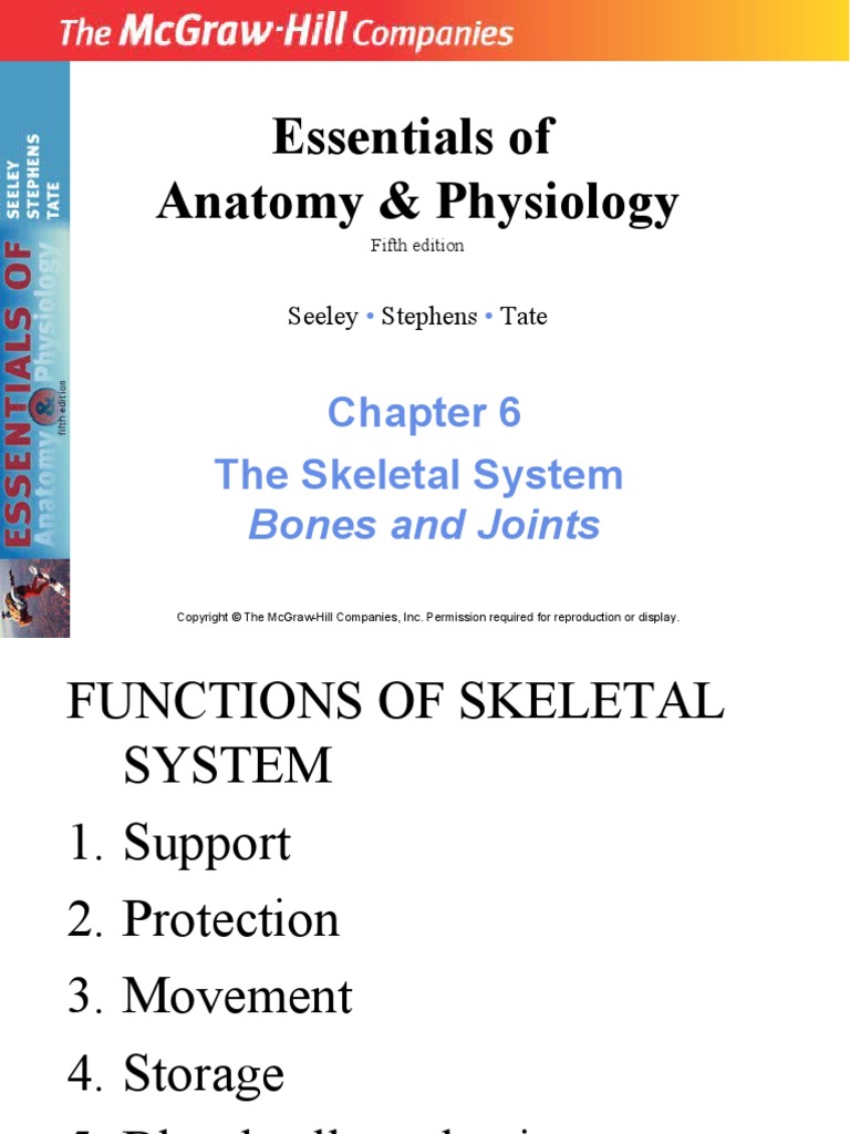 Essentials of Anatomy & Physiology: The Skeletal System | PDF | Bone ...