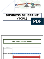 SAP Business Blue Print