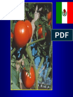 2. Enfermedades Tomate, Dr. Valenzuela y Dr. Garcia