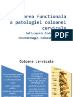 BFKT Patologiecoloana Cervicala CAncuta2013