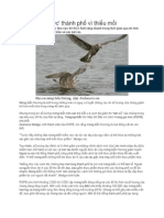 Chim 'xâm lược' thành phố vì thiếu mồi PDF