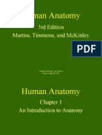 Human Anatomy: 3Rd Edition Martini, Timmons, and Mckinley