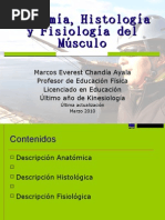 Download FisiologaneuromuscularbyMEverestChSN28747565 doc pdf