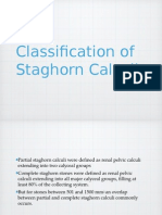 Classification of Staghorn Calculi