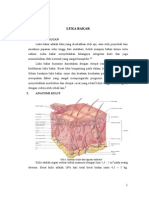 Luka Bakar Referat New