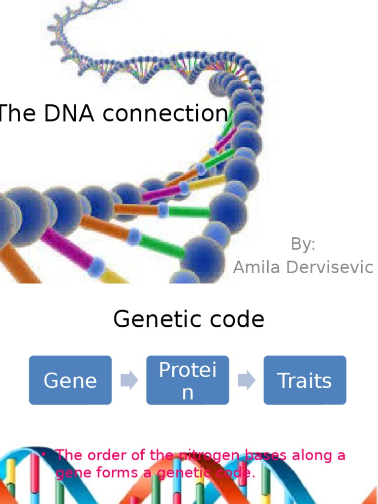The DNA Connection: By: Amila Dervisevic | PDF | Wellness | Science ...