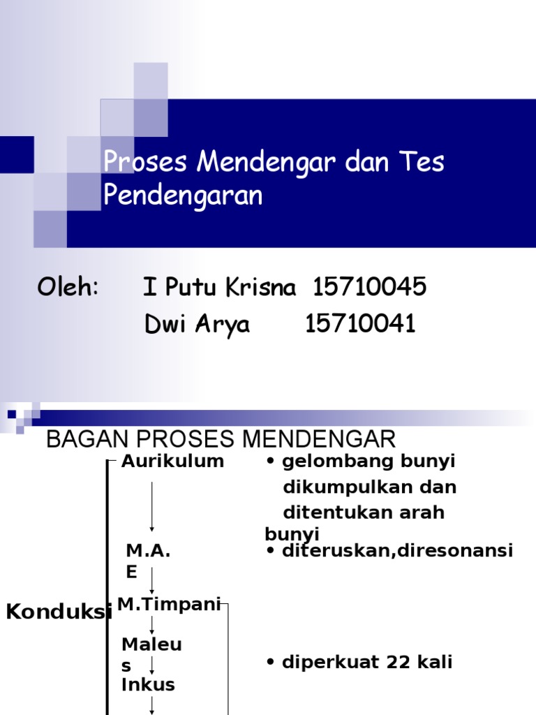 Tes Pendengaran