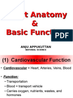 ANAT_unit 3_heart Anatomy and Function_Notes