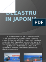 Dezastru in Japonia - 11 March