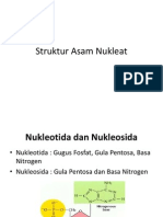Struktur Asam Nukleat - Pangiastika