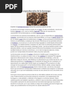 Catalogo de Productos Para Fumigacion 17-08-2010