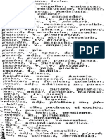 Calo P 07 PDF