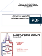 Sistema Respiratorio