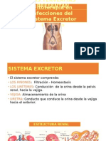 Presentaciã N Clase de Fito