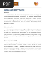 zoonoses-dermatofitose