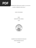 Download Aktifitas Ekstrak Daun Turi Sesbania grandiflora syn Aeschynomene grandiflofa  Terhadap Candida albicansPDF by Hendrayana Hendra SN287593463 doc pdf