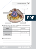 01 Fichas de Refuerzou1 PD