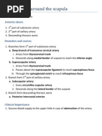 Download Anastomosis Around the Scapula by Yusri Arif SN28759498 doc pdf
