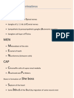 Neural Crest Derivatives