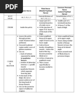 Download Summary of Nerves of Lower Limb by Yusri Arif SN28759565 doc pdf