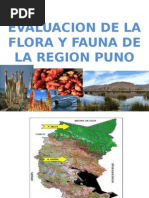 Evaluacion de La Flora y Fauna Medely