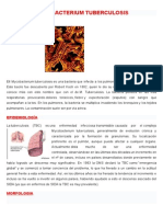 Mycobacterium Tuberculosis Yerina