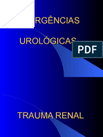 Trauma genitourinário