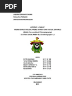Download LAPORAN LENGKAP KROMATOGRAFI KOLOM DAN VAKUM by Rezky Aprhodyta SN287677569 doc pdf